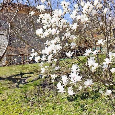 Casa Dei Tigli Villa Ormea Dış mekan fotoğraf