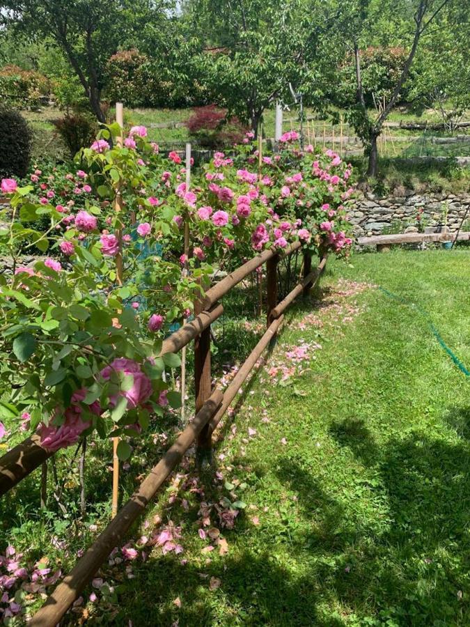 Casa Dei Tigli Villa Ormea Dış mekan fotoğraf